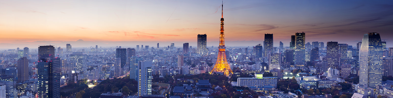casestudy-tokyo casestudy-tokyo